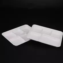 Sugarcane Food Tray-6